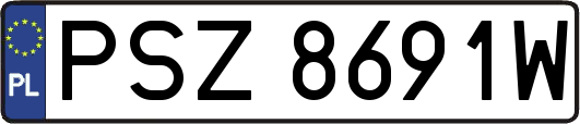 PSZ8691W