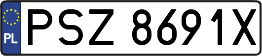 PSZ8691X