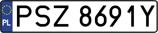 PSZ8691Y