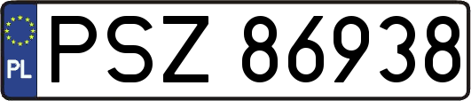 PSZ86938