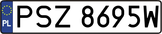 PSZ8695W
