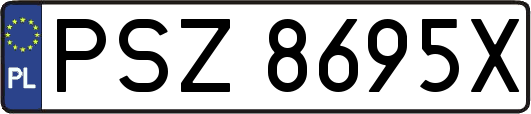 PSZ8695X