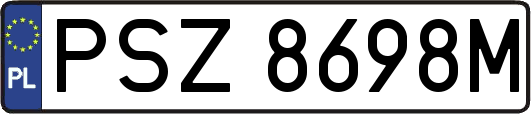 PSZ8698M