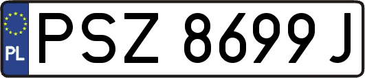 PSZ8699J