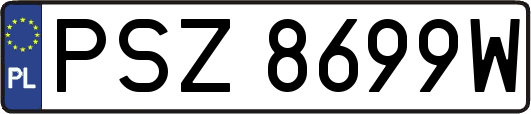 PSZ8699W