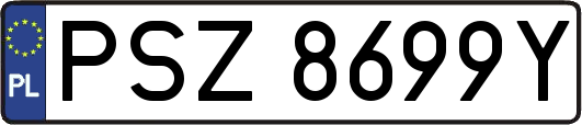 PSZ8699Y