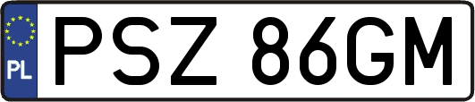 PSZ86GM