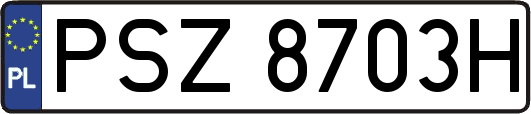 PSZ8703H