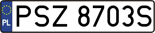 PSZ8703S