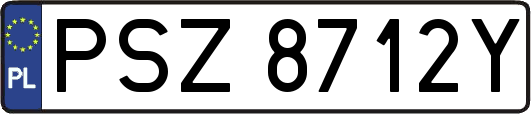 PSZ8712Y