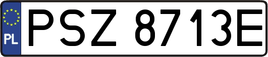 PSZ8713E