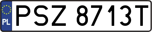 PSZ8713T
