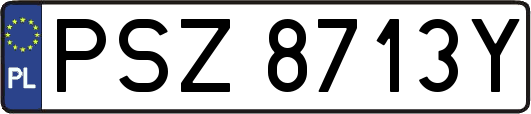 PSZ8713Y