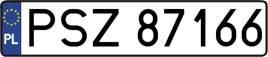 PSZ87166