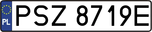 PSZ8719E