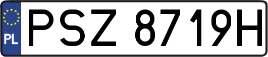 PSZ8719H
