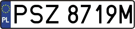 PSZ8719M
