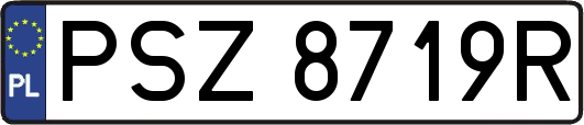 PSZ8719R