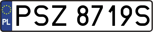 PSZ8719S