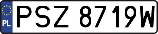 PSZ8719W