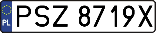 PSZ8719X