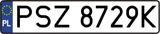 PSZ8729K