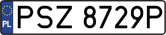 PSZ8729P