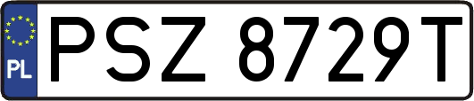 PSZ8729T
