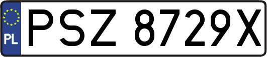 PSZ8729X