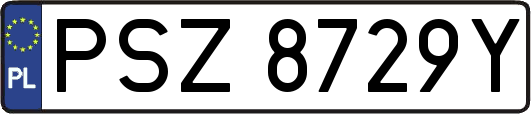 PSZ8729Y