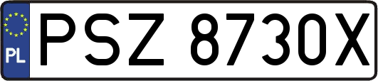PSZ8730X