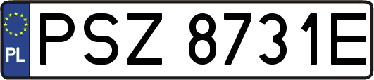 PSZ8731E