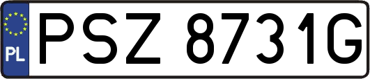 PSZ8731G