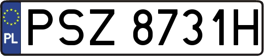 PSZ8731H