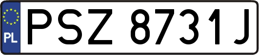 PSZ8731J