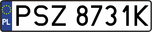 PSZ8731K