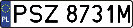 PSZ8731M