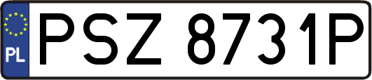 PSZ8731P