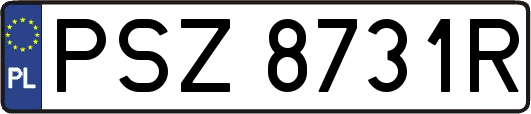 PSZ8731R