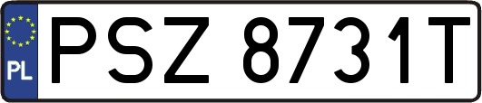 PSZ8731T