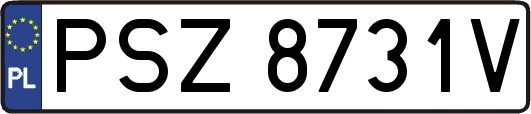 PSZ8731V