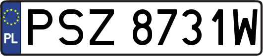 PSZ8731W