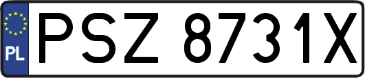 PSZ8731X