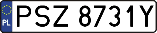 PSZ8731Y