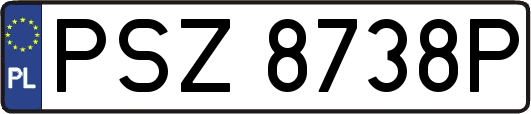 PSZ8738P