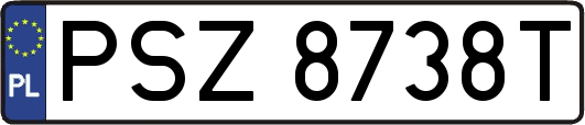 PSZ8738T