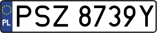 PSZ8739Y