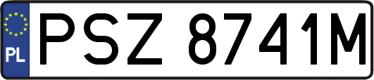 PSZ8741M