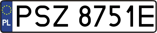 PSZ8751E