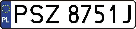 PSZ8751J